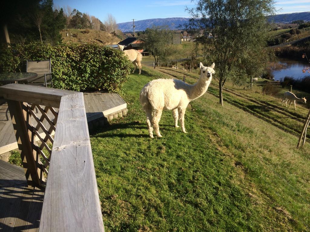 Hunters Moon Villa Mosgiel Eksteriør billede