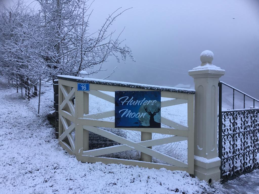 Hunters Moon Villa Mosgiel Eksteriør billede