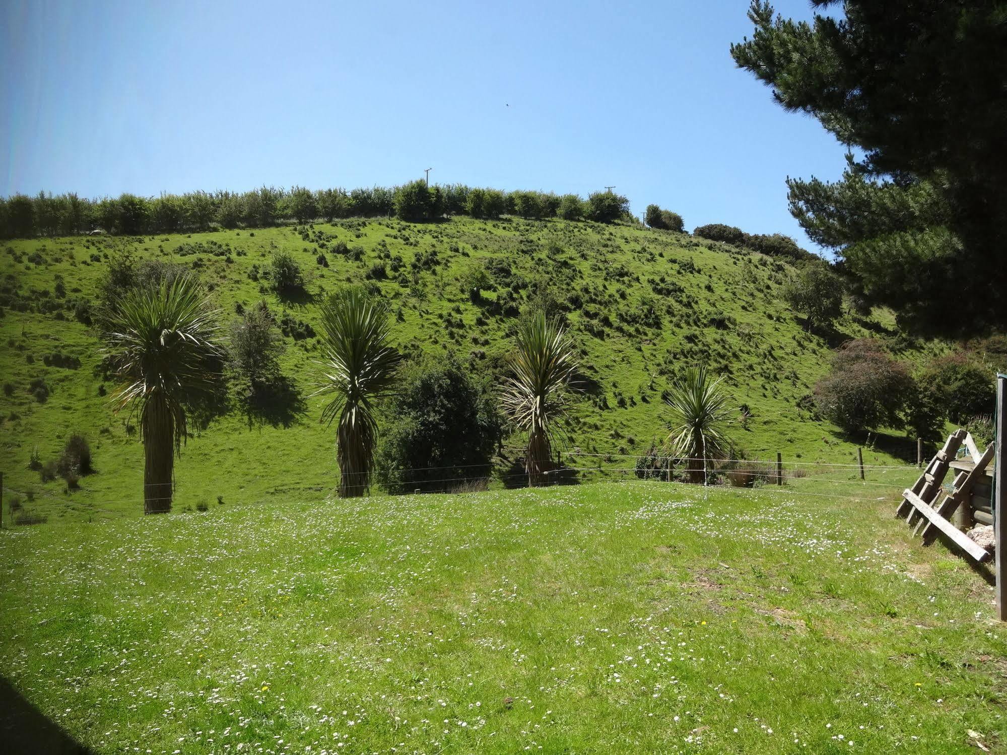 Hunters Moon Villa Mosgiel Eksteriør billede